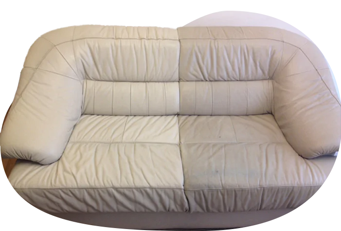 Higienização e revitalização de couro